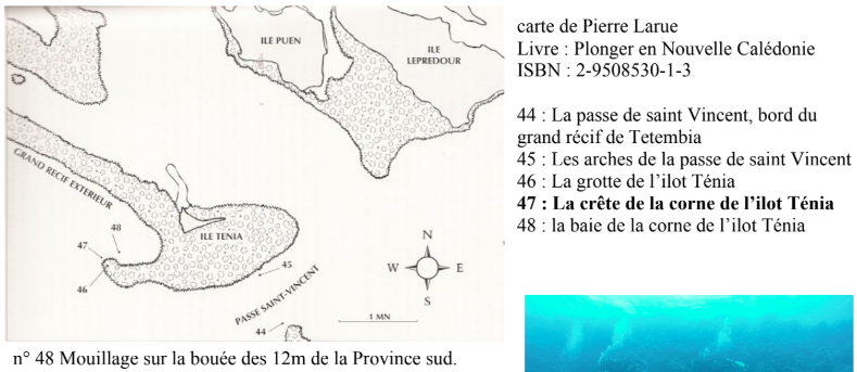 Corne de Ténia
