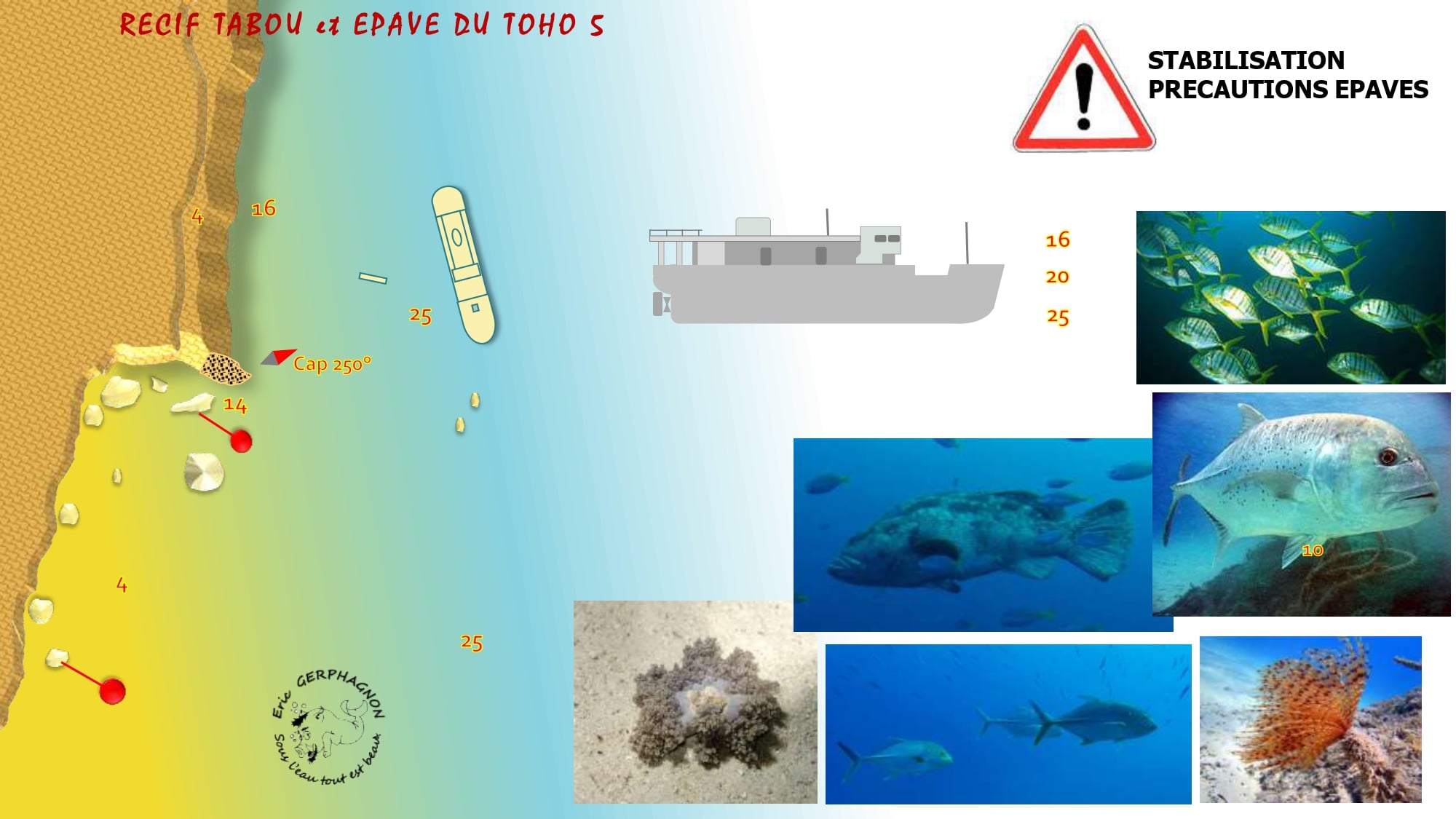 Récif Tabou et Toho V